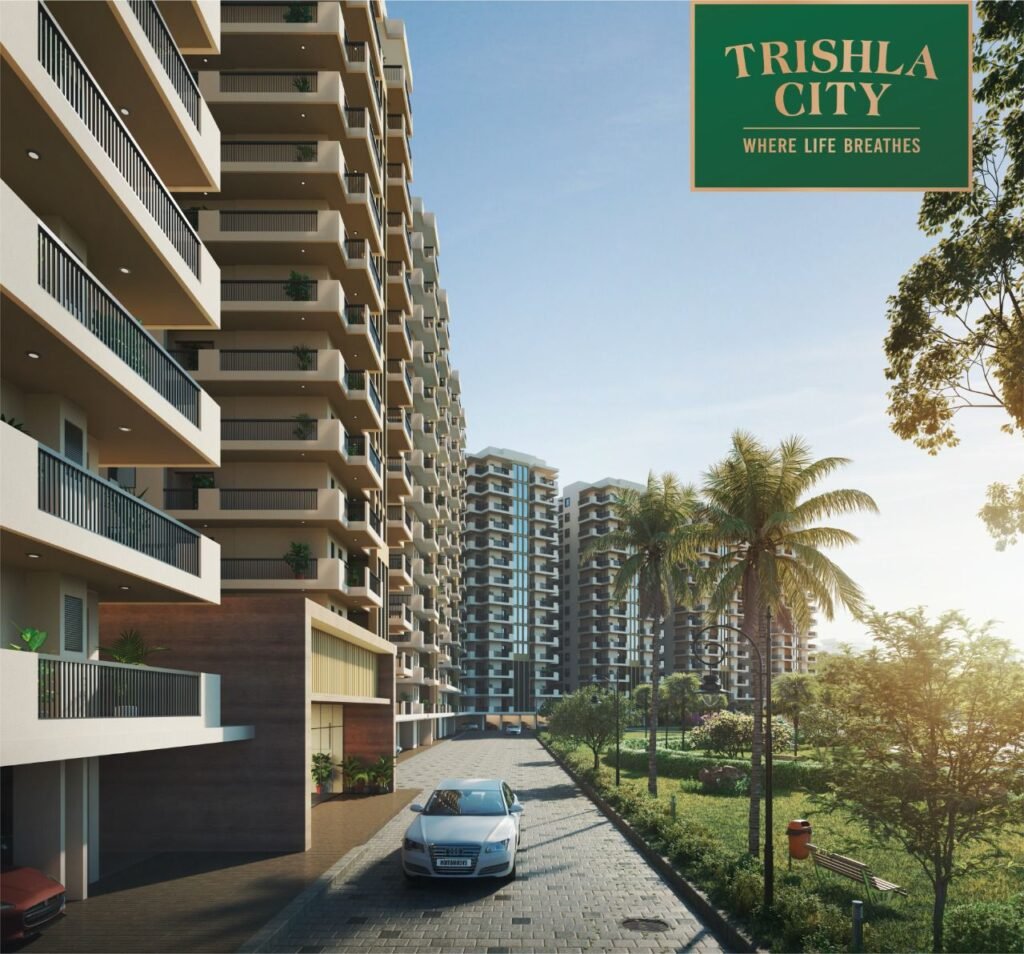 Trishala Zirakpur: Your Ultimate Buyer & Investment Guide